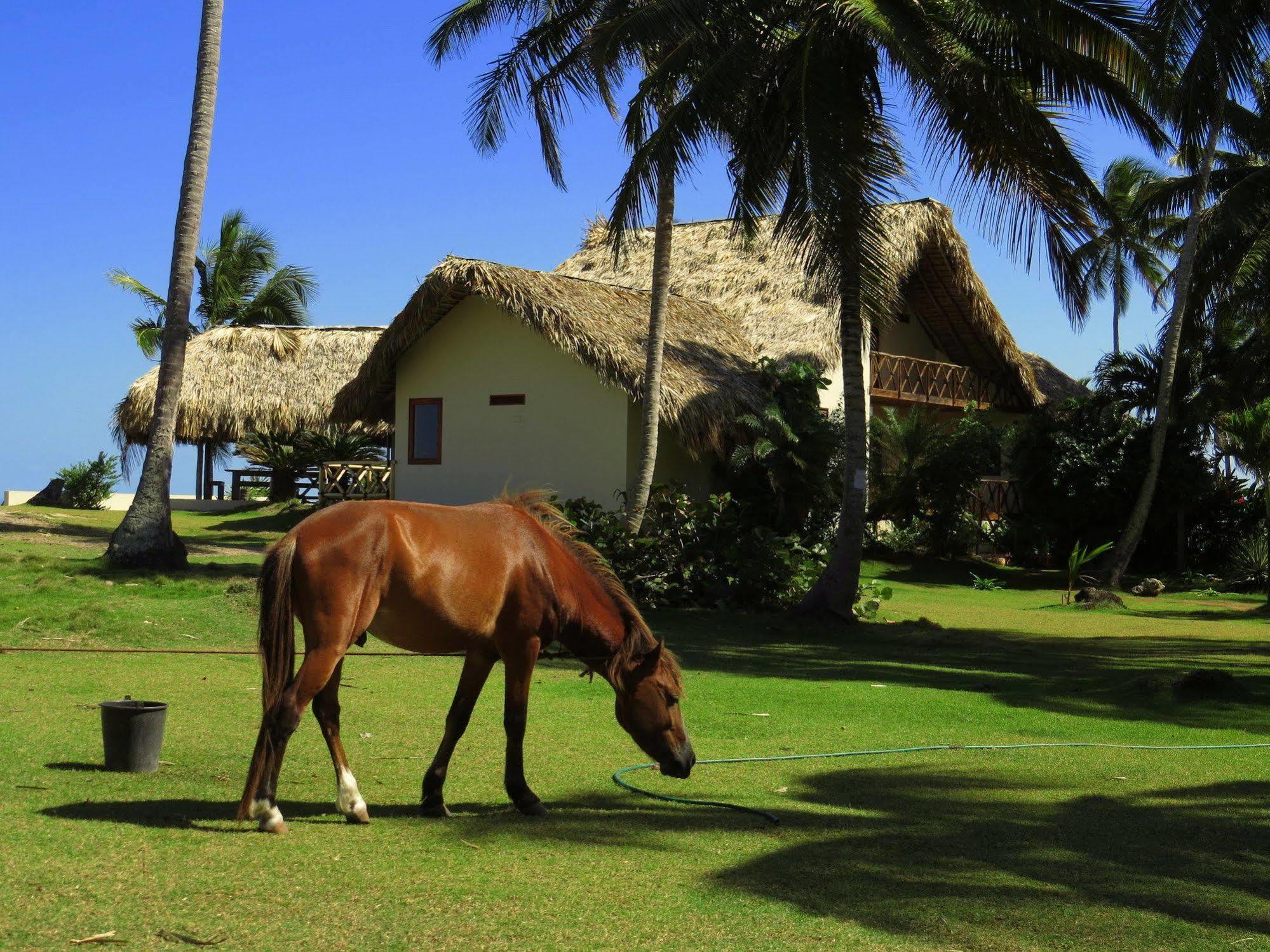 Villa Punta Coral El Frances Luaran gambar
